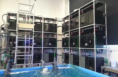 ALFRED-WEGENER-INSTITUT