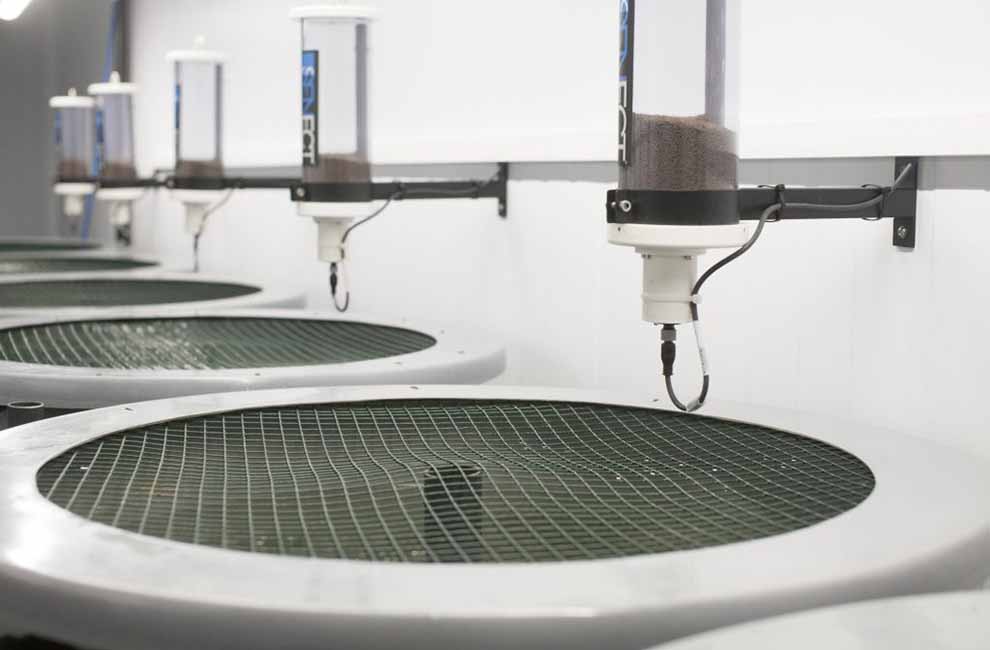 PONTUS RESEARCH LTD.