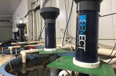 MARK LEE BARRAMUNDI FARM